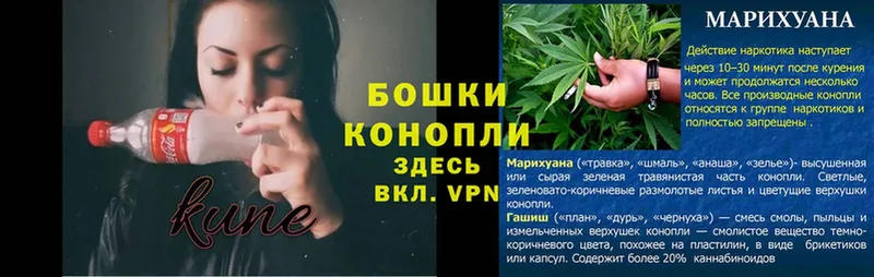 Конопля OG Kush  Калачинск 